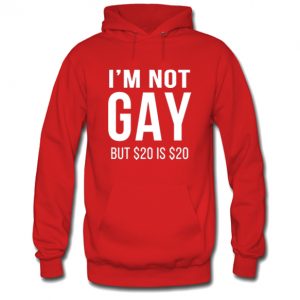 I'm Not Gay But $20 Is $20 Hoodie