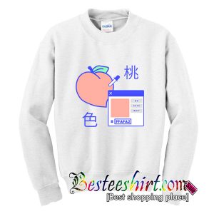 Peach Digital Sweatshirt