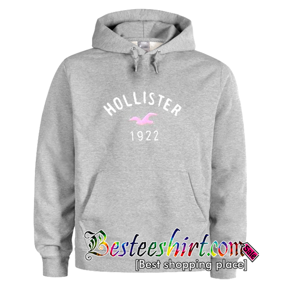 charli hollister hoodie