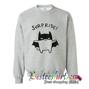 Surprise Sweatshirt