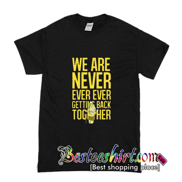 taylor swift shirt lyrics