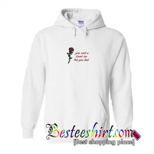 You Said U Love But You Lied Hoodie