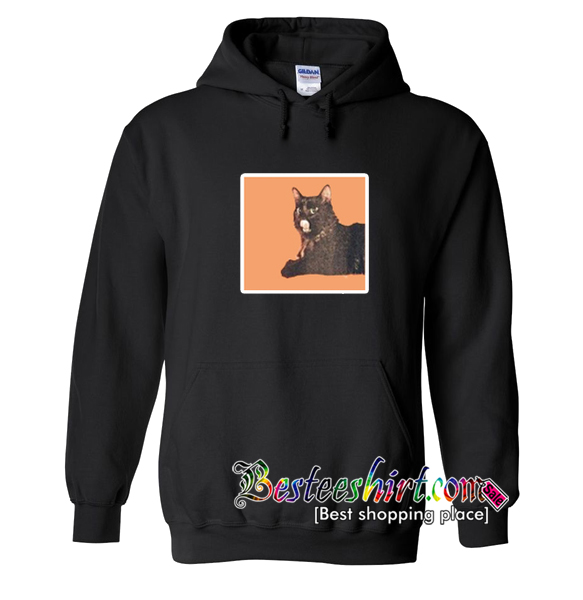 Cat Posse Hoodie