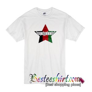 Every Nigga Is a Star T Shirt