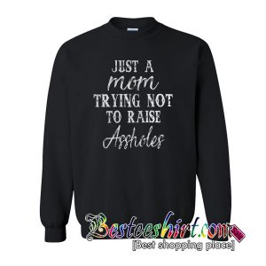 Just a mom trying not to raise assholes Sweatshirt