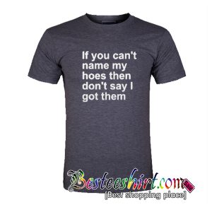 If You Can’t Name My Hoes Then T Shirt