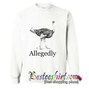 Allegedly Sweatshirt (BSM)