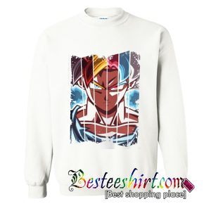Dragon Balls Z Sweatshirt (BSM)