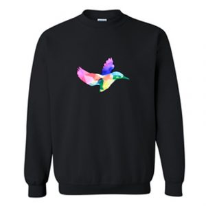 Amazingphil Geometric Rainbow Hummingbird Sweatshirt (BSM)