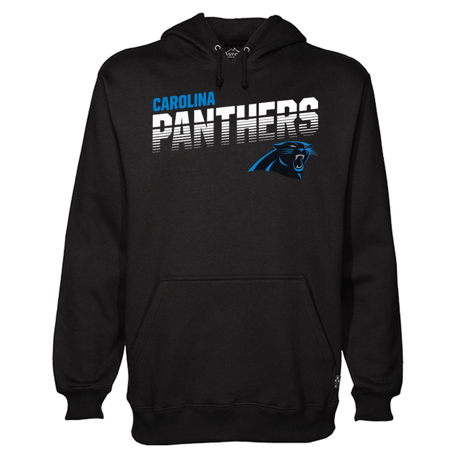 Youth Carolina Panthers Black Hoodie (BSM)