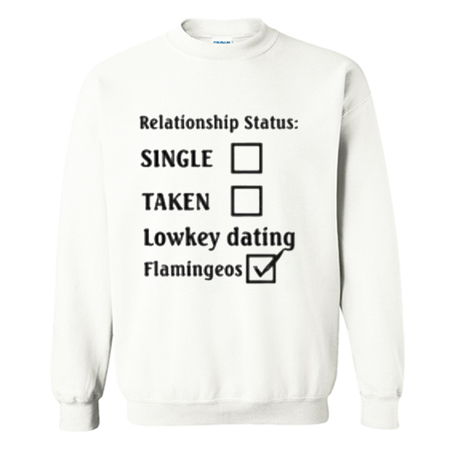 Relationship Status Lowkey dating Flamingeos Sweatshirt (BSM)